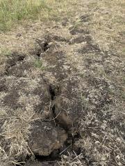 Recent very dry conditions meant care needed on the path - especially for Ani The Dog